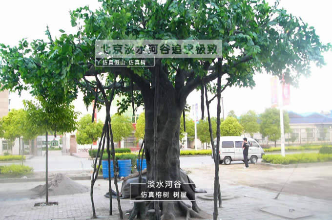北京仿真樹(shù)的五大優(yōu)勢(shì)和特點(diǎn)都有哪些？