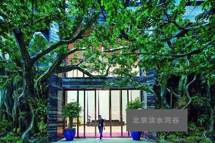 水泥仿真榕樹作為森林主題在碧桂園新總部大樓制作完成