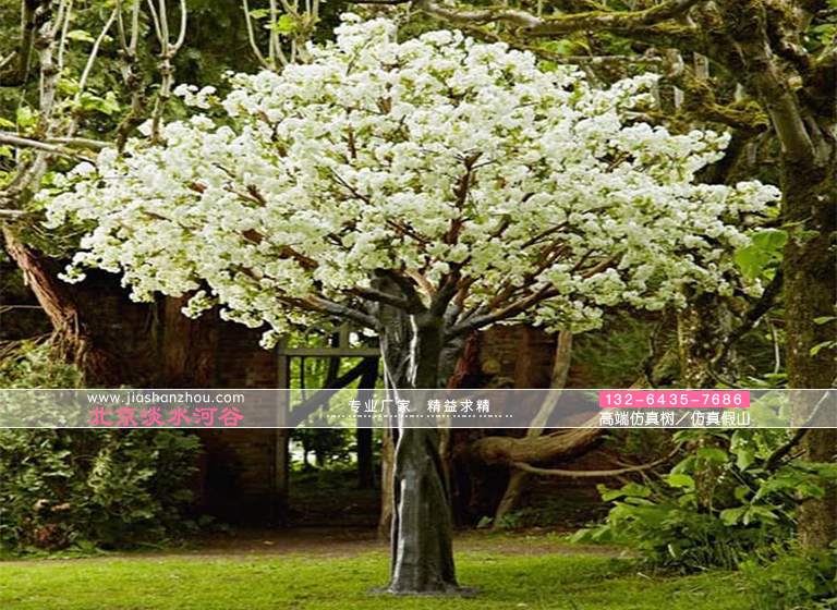 一個富有創(chuàng)造性的仿真樹角色-“布拉德福德梨“樹是從中國引進