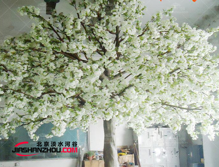 這個仿真樹流蘇樹廠家制作世界名觀賞性仿真樹國內(nèi)外皆有施工