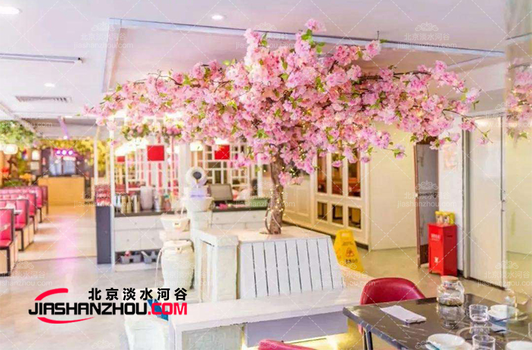 如何管理和維護(hù)毛泡桐樹-仿真樹廠家溫馨提示