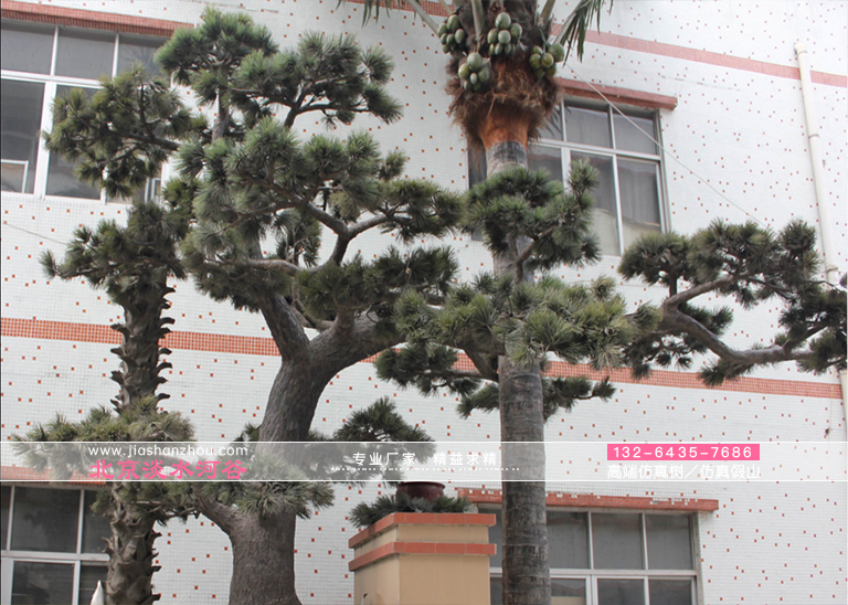 火炬松仿真樹北美百?gòu)?qiáng)假樹模擬對(duì)象-東南地區(qū)具商業(yè)意義的樹木之一