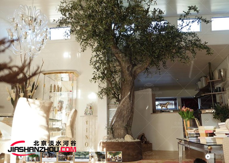 夏日清涼仿真樹室內(nèi)裝扮簡約卻不簡單-你的夏日福音