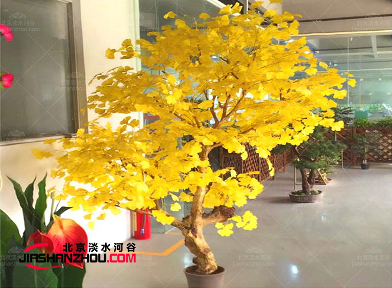 要么不做要做就做優(yōu)質(zhì)品仿真樹(shù)這家廠家靠譜