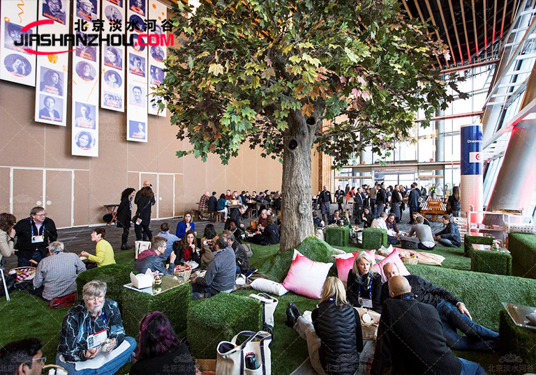 誘人芳香品質(zhì)仿真樹(shù)檫樹(shù)匯聚各種優(yōu)勢(shì)于一身