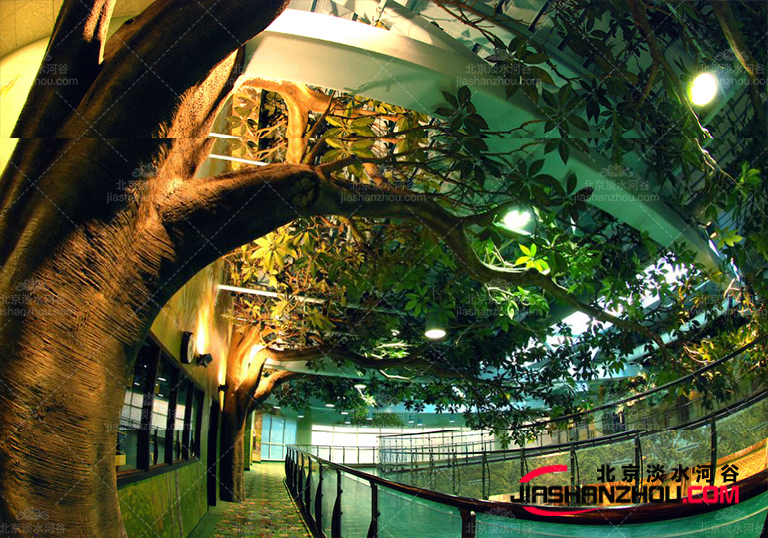 永遠(yuǎn)不要低估仿真樹(shù)的作用大膽的著色可以真正為房屋美麗加分