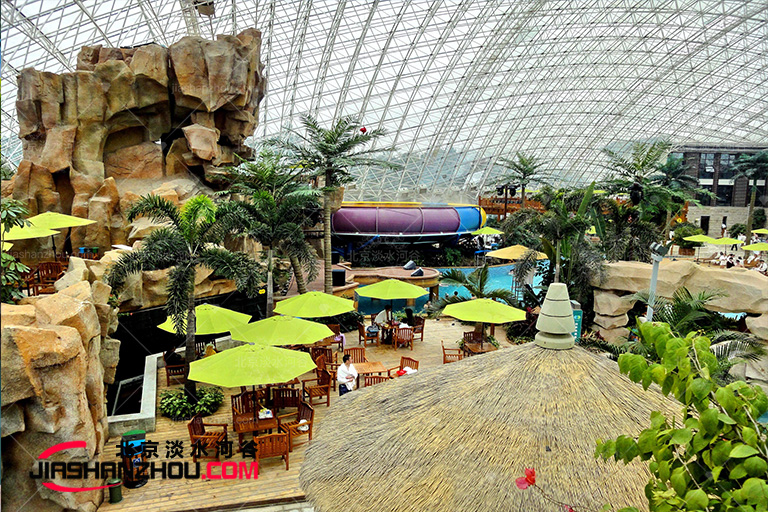 夏日f情仿真樹椰子樹給人帶來不一樣的無可比擬的熱帶體驗