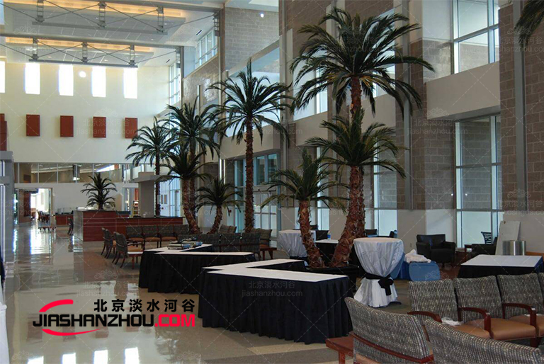 高質(zhì)量持久保存仿真樹棕櫚樹我們開放參觀