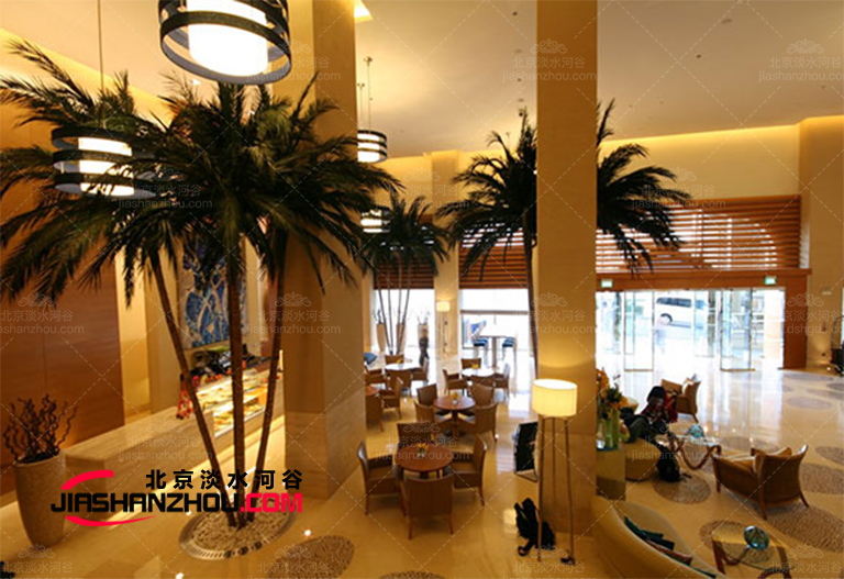 定制當(dāng)今市場上的高質(zhì)量耐用價格合理人造仿真樹椰子樹