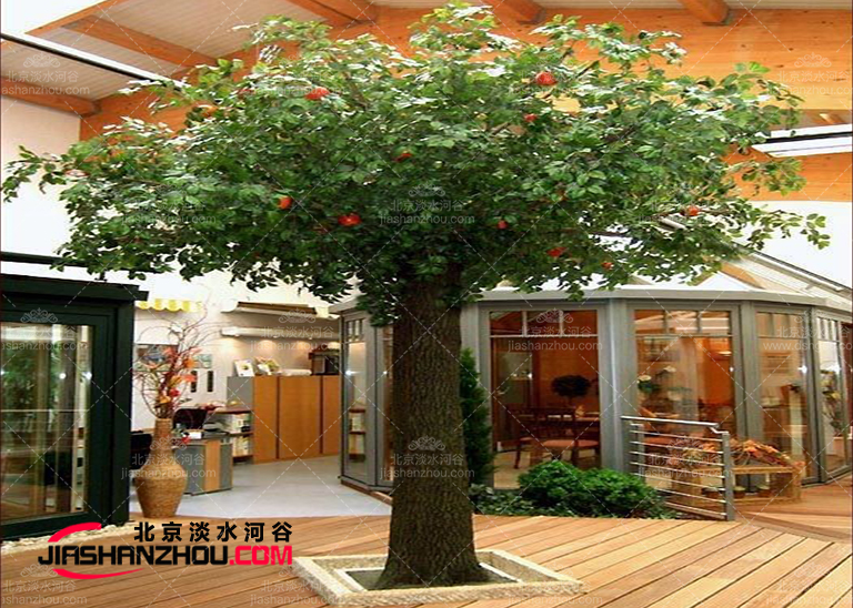 仿真樹看起來那么悠然美好讓人一點(diǎn)猜不到它居然是仿制的