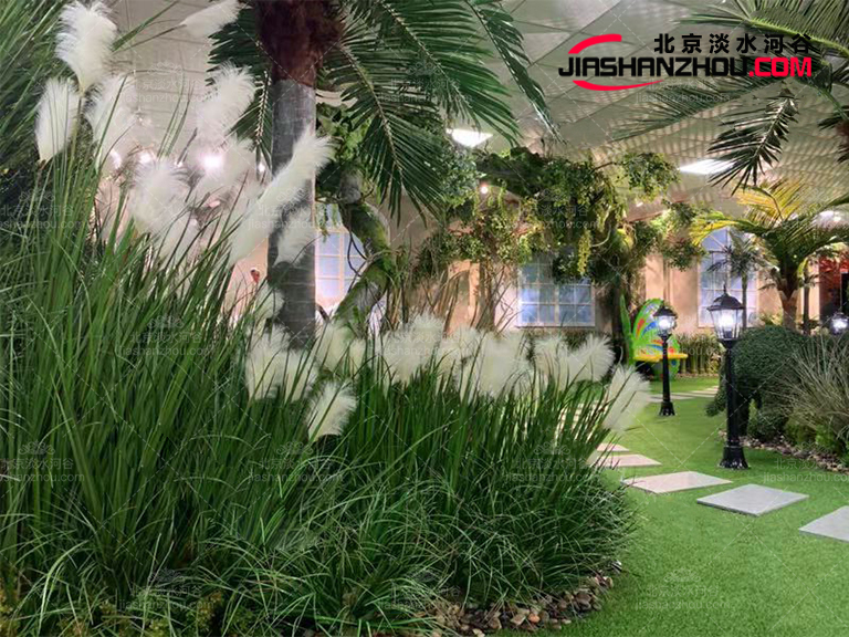 仿真樹的運(yùn)用為何如此廣泛它具有哪些可取的價值