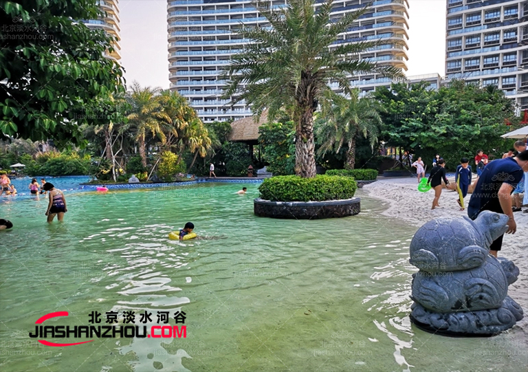 幾乎天然的仿真樹棕櫚樹是受自然啟發(fā)