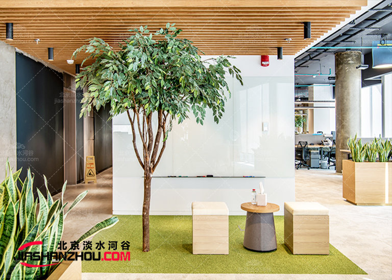 北京郊區(qū)別墅仿真樹大片布置效果超出預(yù)期