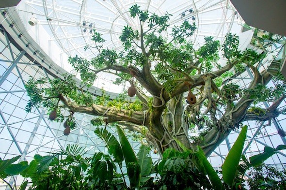 8張假樹(shù)造型圖片這么漂亮是真的吧