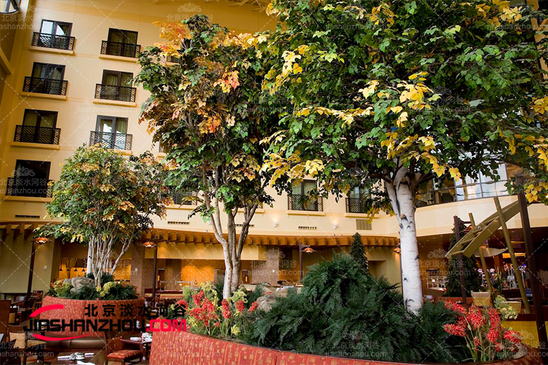 仿真樹中的貴族樹 楊樹大受歡迎的原因是什么？