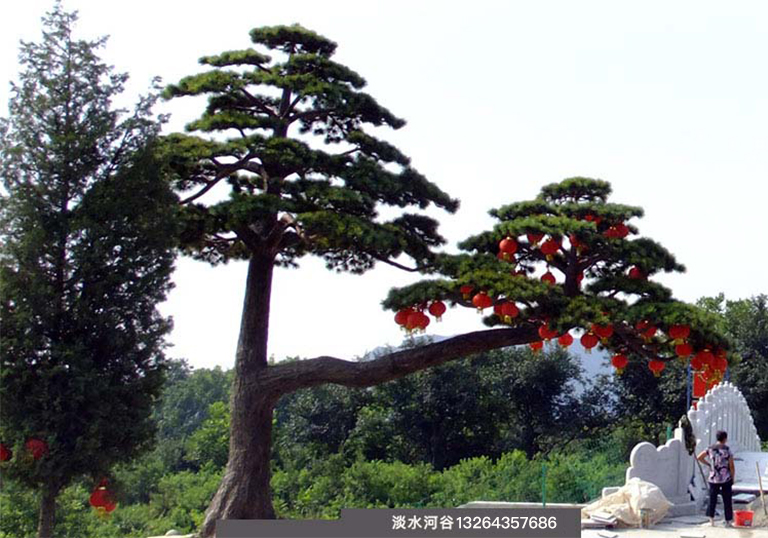 現(xiàn)場制作仿真松樹，工藝精美效果逼真—北京圣園工程