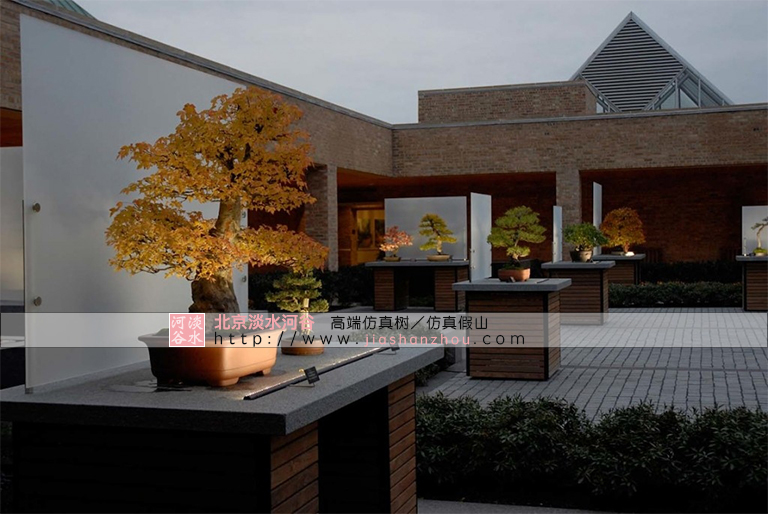 九大盆景植物推薦與仿真樹相得益彰