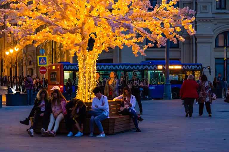 用仿真樹裝飾花園我們有豐富的經(jīng)驗(yàn)和技術(shù)
