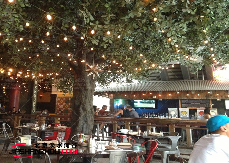 高品質(zhì)高質(zhì)量9.5米仿真樹室內(nèi)外均可訂制