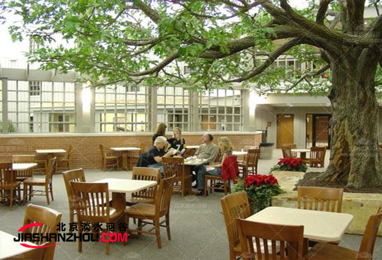 仿真樹可以放在臥室客廳廚房等任何角落