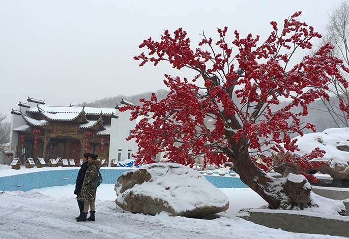 仿真樹(shù)